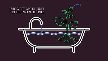 How To Schedule Irrigation (Part 1)