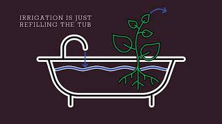 How To Schedule Irrigation (Part 1)