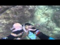 Regarder en ligne les particularités national les pêches
