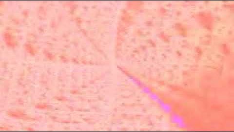 سورة القارعة بصوت الشيخ القارئ سعود الشريم