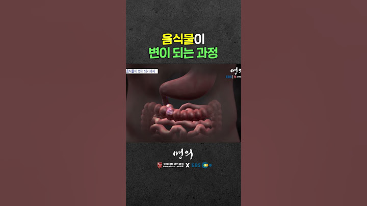 방금 먹은 음식 몇 시간 후에 변으로 나올까?