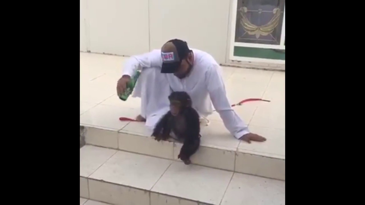 rumble video upload Baby Monkey is gone crazy for Soft Drink