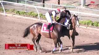 El 40 vs. El Don Julio vs. El Halcón Negro en Fresno Hipódromo - 23 de Abril 2016