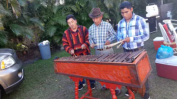 Aqui con los primos disfrutando de la marimba .