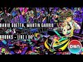 David guetta martin garrix  brooks  like i do dubstep remix