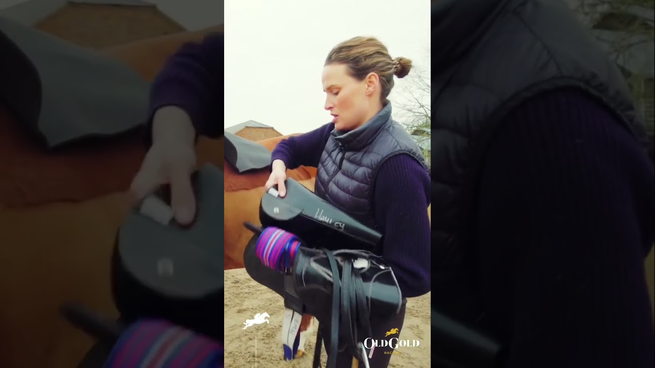 Horse Racing Secrets Revealed!