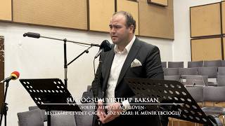 Şu Göğsüm Yırtılıp Baksan