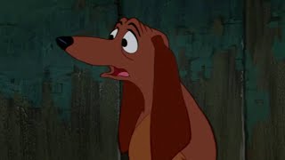 Cosmin Seleși - Dachsie (Lady and the Tramp)