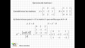 18 Ejercicios de matrices I