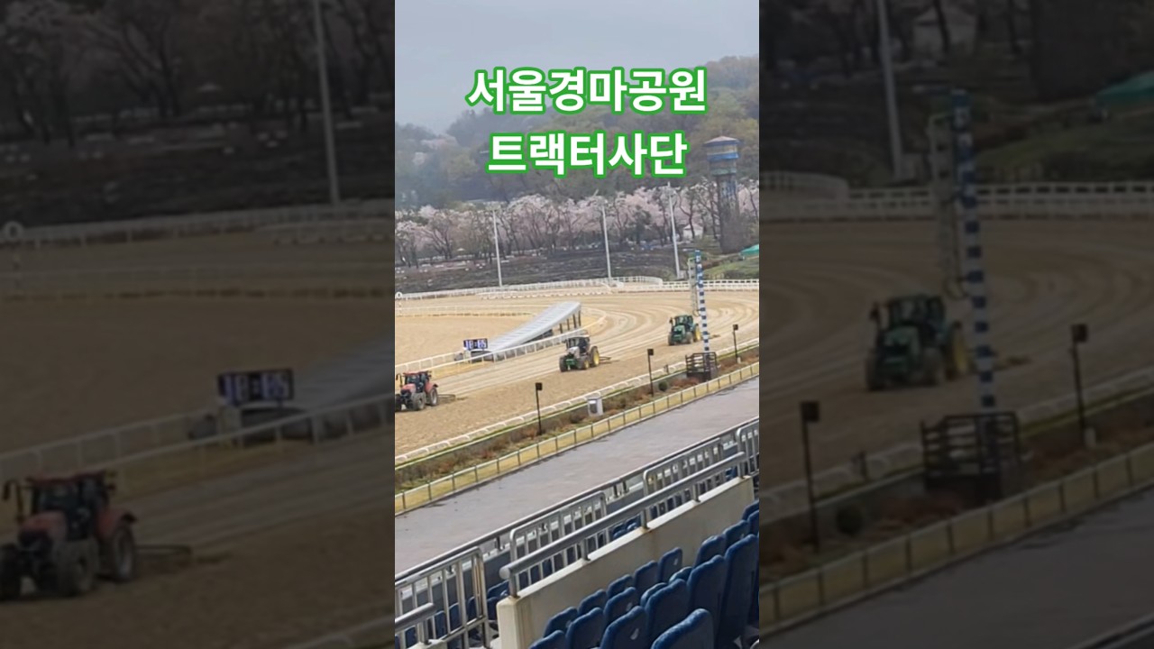 경마장 숨은일꾼들#경마#말 #달려라말 #shorts