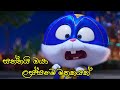 සත්තයි ඔයා - Saththai oya himabole version | himabole songs new