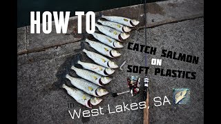 HOW TO: Catch Australian Salmon on Soft Plastics | West Lakes, SA screenshot 1