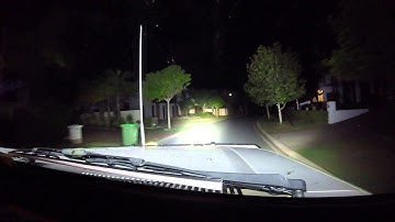 carpet python in coomera