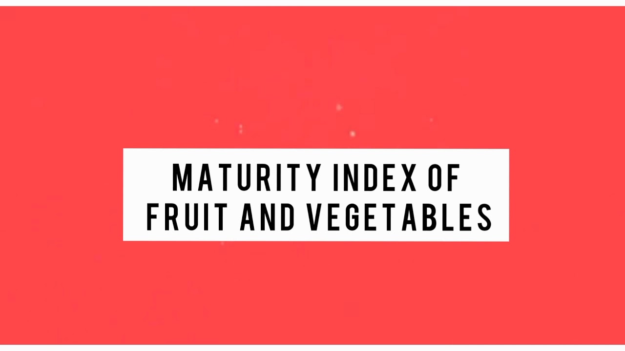 Food Biochemistry - Maturity index of fruit and vegetables - YouTube