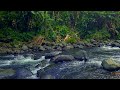 Tranquil River ASMR: Gentle Flowing Waters for Deep Sleep, Relax &amp; Anxiety Relief