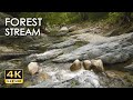 4K HDR Forest Stream - Relaxing River Sounds - No Birds - Natural White Noise - Relax/ Sleep/ Study