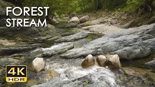 4K HDR Forest Stream - Relaxing River Sounds - No Birds - Natural White Noise - Relax/ Sleep/ Study