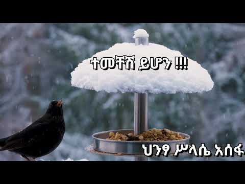 Hintsa Assefa New Ethiopian Music ተመቸሽ ይሆን ህንፃ ሥላሴ አሰፋ
