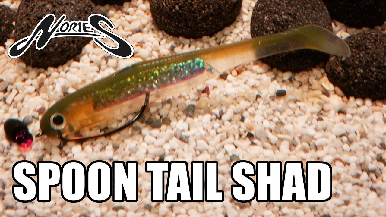 Nories Spoon Tail Shad! Lure action on a Texas Rig! Underwater! Full