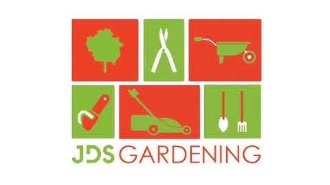 Do you need Sycamore Trees Dismantled & Removed in Edinburgh? watch our tree surgery team in action.