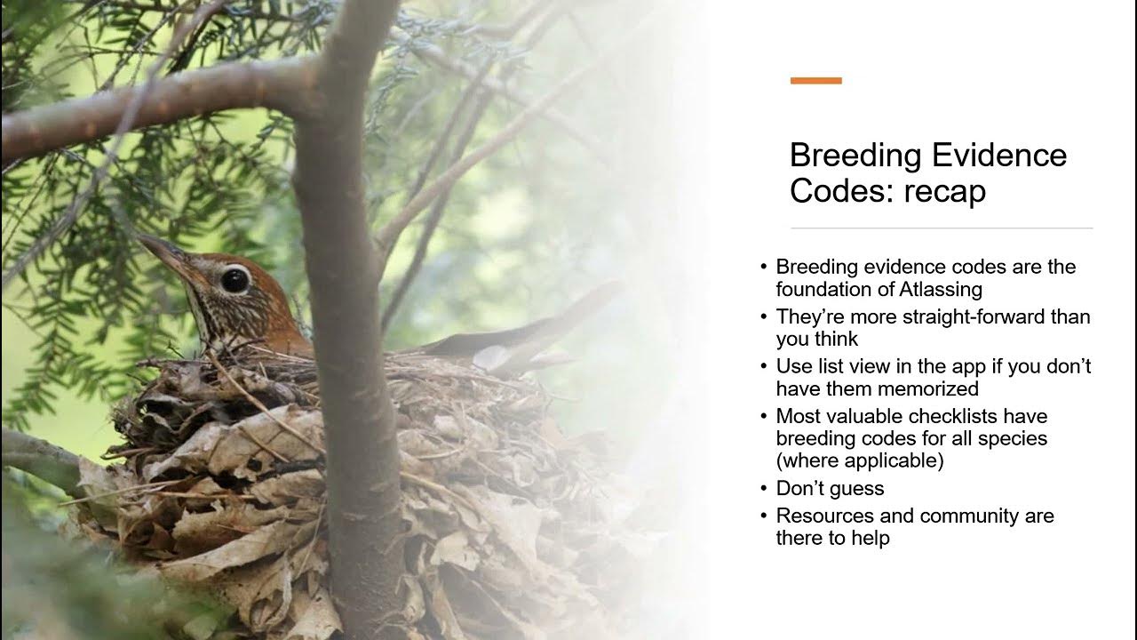 Breeding Evidence Codes YouTube