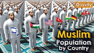 Muslim Population by Country 2024 | Info Perspective