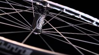 Pro-Lite wheels
