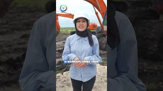 2000 hektar tambak udang mulai dibangun di Sumba Timur