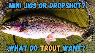 Trout Fishing: Mini Jigs Vs Double Dropshot  Hesperia Lake