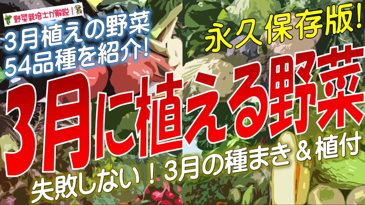 3月に植える野菜（54品種）永久保存版