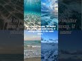 in english its.......#poetry#ocean#daisy
