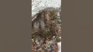 Once In a Moon - Sarah Kang (Piano arrangement)