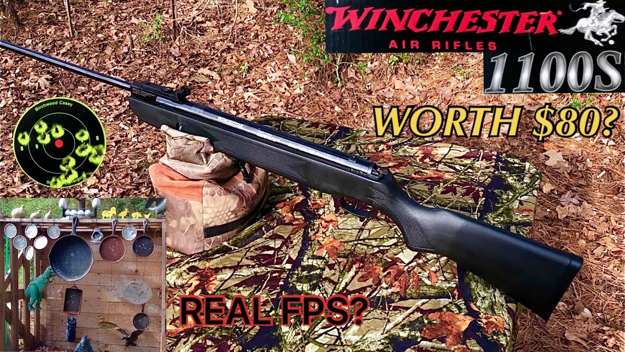 One Year Review Winchester 1100S Air Rifle Full Review and Plinking
