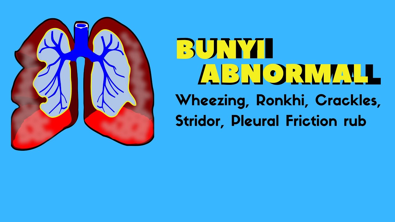 BUNYI ABNORMAL PADA PARU PARU (Whezing, Ronkhi, Crackles, Stridor dan