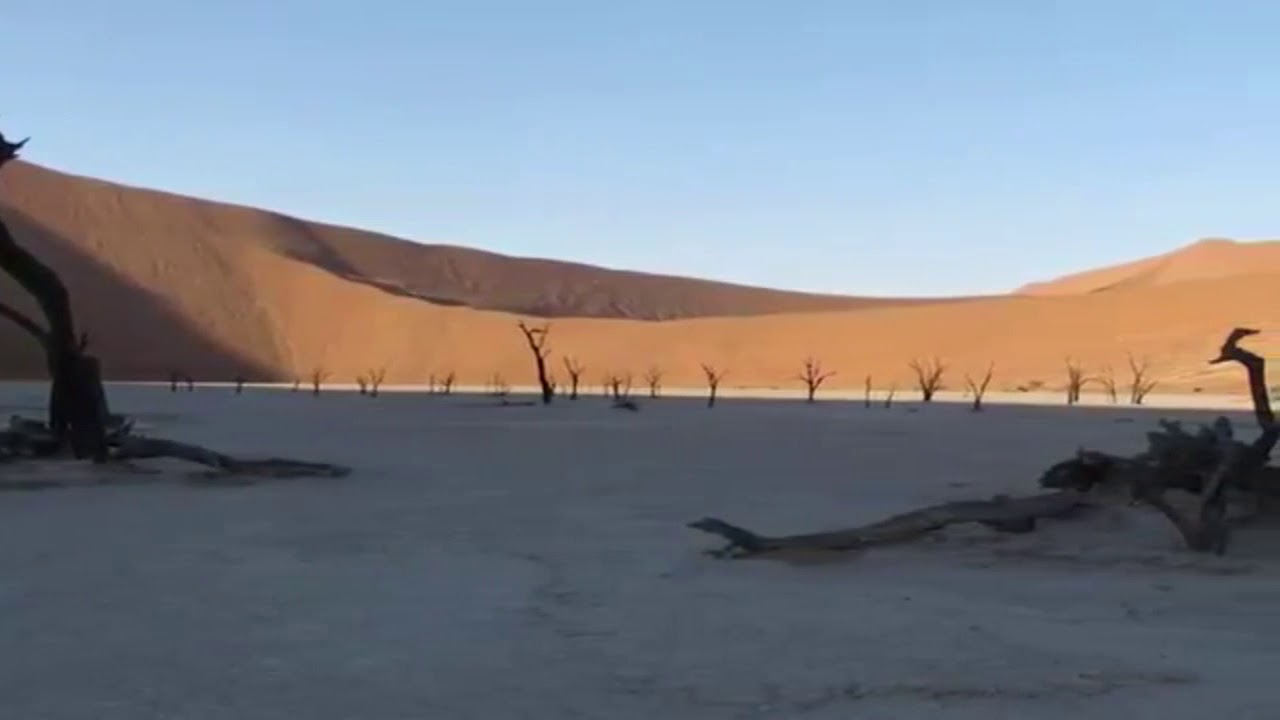 21世界の木15 デッドフレイ Deadvlei ナミビア 一夜の夢