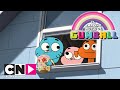 Un regalo orrendo | Lo straordinario mondo di Gumball | Cartoon Network Italia