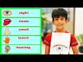 The five Senses for kids | Educational Video with Jason Vlogs!