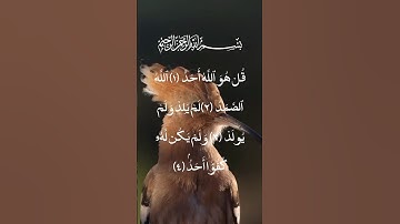 #سورة الإخلاص بصوت الشيخ محمد عبيدالله تلاوة خاشعة #اكسبلور #qurantilawah #viralvideo #