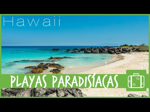 Vídeo: Más De 21 De Las Mejores Playas De Hawái - Matador Network