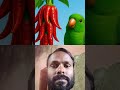 parrot ek chotaa mirch ka podha #cartoon #funny #ai #ekmotahathighumechala