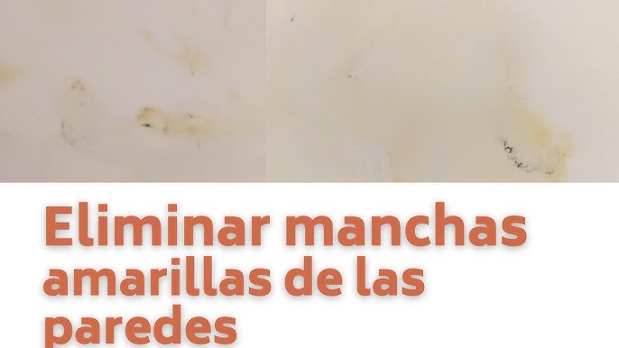 Eliminar Mancha De Humedad Youtube Eliminar Mancha De Humedad Youtube