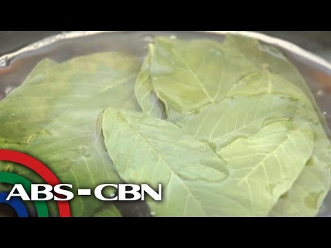 Video: Ano Ang Tapal: Paano Gumawa ng Tapal Mula sa Mga Herb Sa Hardin