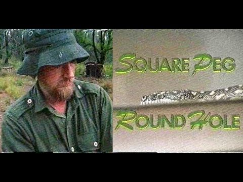 video phone beyonce mp3 Herpetologist Richard Wells