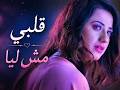 قلبي مش ليا كلمات تمس القلب