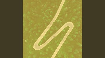 Scintillating Ambiance for Daily Drives