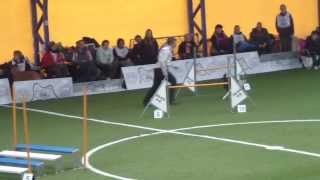 National Championship Viki Suvi Open Jumping