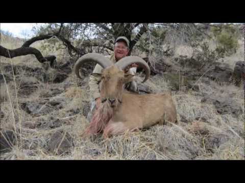 Aoudad Hunt Texas 2012 
