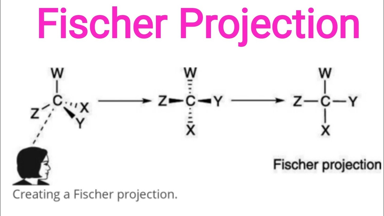 Fischer ProjectionIn odia by Kamal Sir YouTube