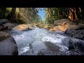 🌿 Lofi Chill Beats, River Sounds, Nature Ambience, Relaxing Music, Study 🌊 Evening Riverside Vibes