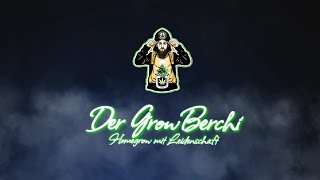 !Achtung! Zucker Bubatz von der Straße 😱🚭